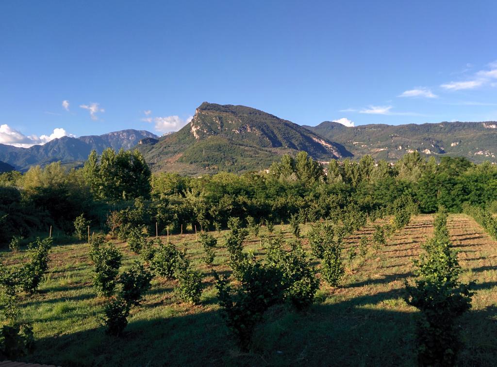 La Luna Nel Fiume Giffoni Valle Piana Buitenkant foto